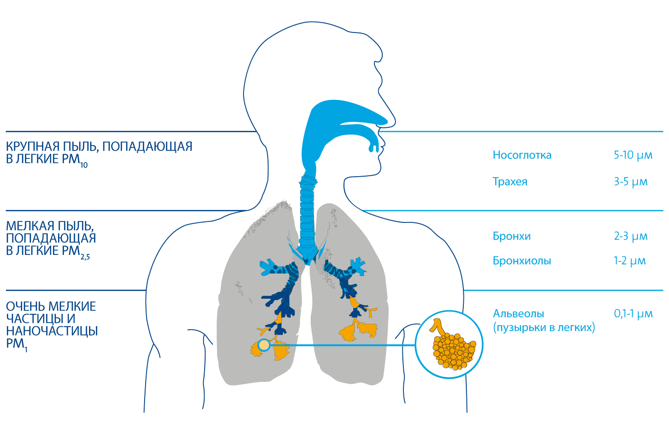 Количество воды в легких. Частички пыли попали в легкие. Размер частиц аэрозоля. Влияние аэрозоля на органы дыхания человека. Влияние пыли на дыхательную систему.